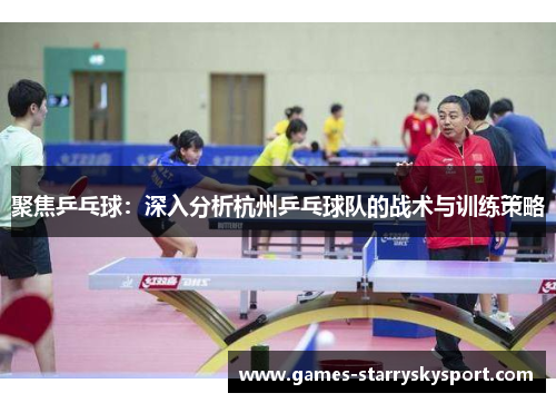 聚焦乒乓球：深入分析杭州乒乓球队的战术与训练策略