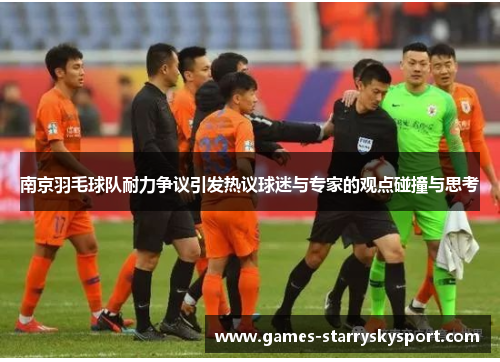 南京羽毛球队耐力争议引发热议球迷与专家的观点碰撞与思考