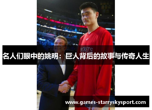 名人们眼中的姚明：巨人背后的故事与传奇人生
