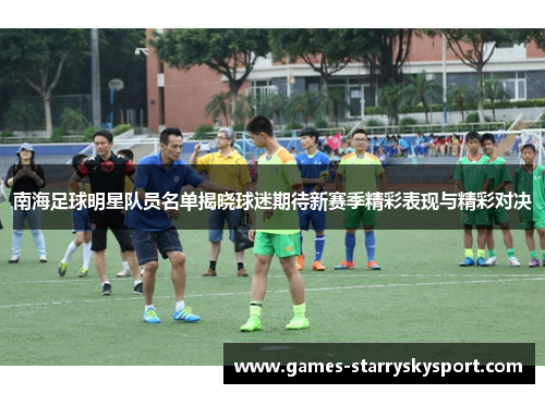 南海足球明星队员名单揭晓球迷期待新赛季精彩表现与精彩对决